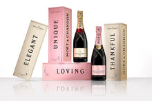 Load image into Gallery viewer, Moët &amp; Chandon Impérial Brut in Metal Box 75cl